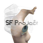 Sf Project