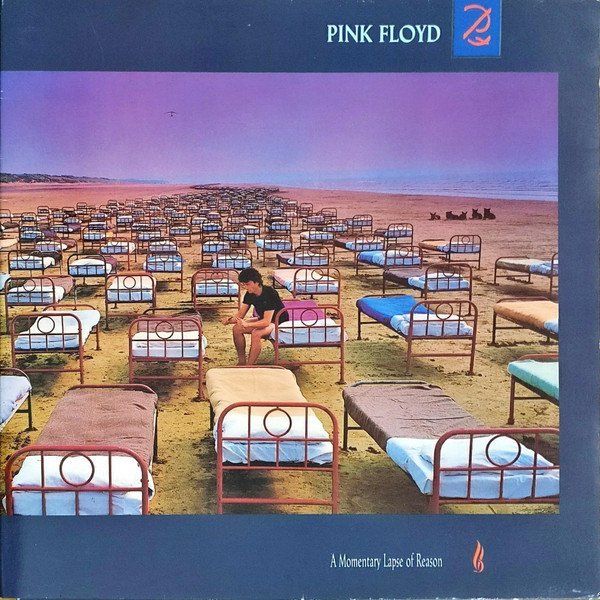A Momentary Lapse Of Reason