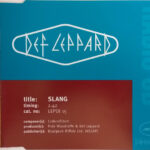 Slang