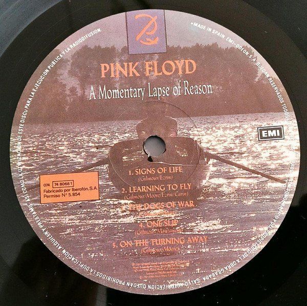 A Momentary Lapse Of Reason
