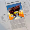 Songs Of Electronic Despair