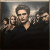 be54a6cb38a776a328c07c62d53ea898d9b953ba_0_0.jpeg The Twilight Saga: Eclipse (Original Motion Picture Soundtrack)