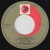d76f21021e2453819a11c9e4b41541c9992d8f0c_0_0.jpeg Kung Fu Fighting (Grasshopper Mix)