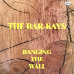 0859594b93bde826f974c9e70a64cb268c5c24ae_0_0.jpeg Banging The Wall