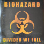 Divided We Fall
