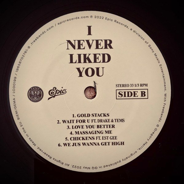 I Never Liked You