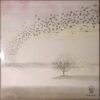 Wind & Wuthering