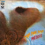 Meddle