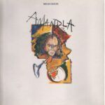 3126769bc7b58d8378c421a9c7c8356f62ea911d_0_0.jpeg Amandla