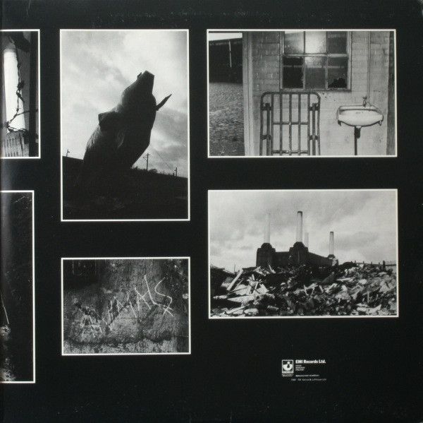 Animals