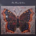The House Of Love