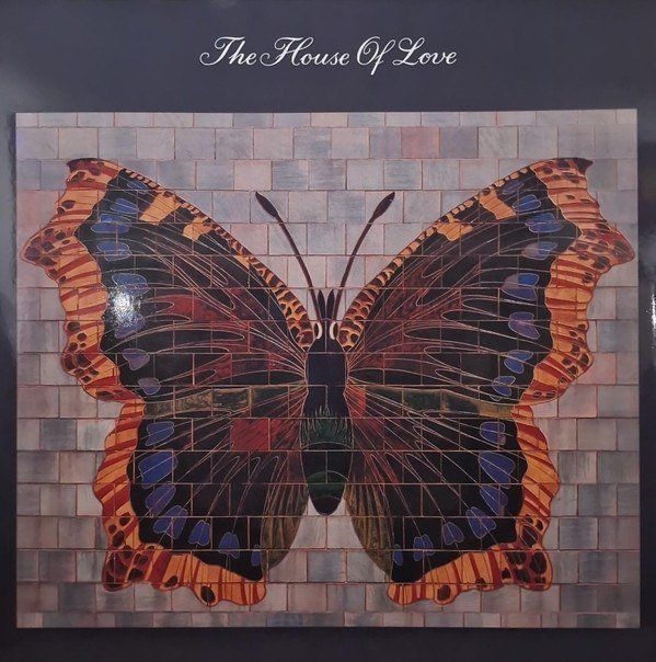 8760254d01d4c084ea74d2379b42d410df33b7f1_0_0.jpeg The House Of Love