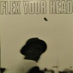 Flex Your Head