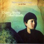 Viajes A Través De La Música (Luz Del Tibet)