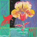Melt / Il Est Né Le Divin Enfant