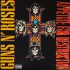 Appetite For Destruction
