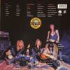Appetite For Destruction