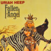 a5120d4cd8b9ad7c69bcd5ddaafe4da1e7daf92d_0_0.jpeg Fallen Angel