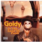 In The Land Of Funk
