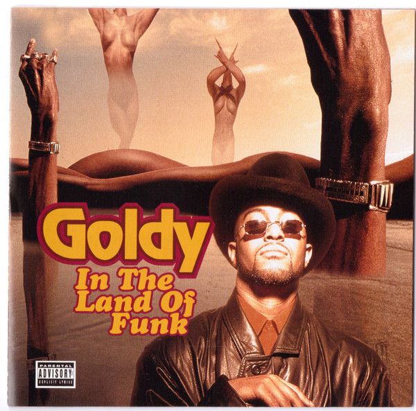 In The Land Of Funk