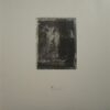 Surfer Rosa