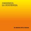 59b4ca98b3746b0cb9be0003750d777142df0324_0_0.jpeg El Guacal De La Salsa