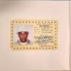 9ba1ad2619eb80f6524eb79e228f4ff75684698d_0_0.jpeg Call Me If You Get Lost