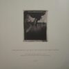 Surfer Rosa