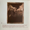 Surfer Rosa