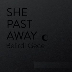 bd1743978d8a24c67878163816b0bc6cb21fdc51_0_0.jpeg Belirdi Gece