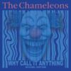 Why Call It Anything