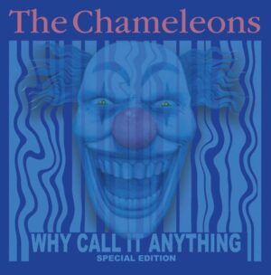 Why Call It Anything