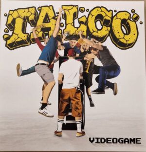 Videogame