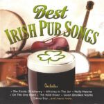 Best Irish Pub Songs