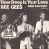 3ddc09fb32a81c3685fdfa5c76e533369b4f020a_0_0.jpeg How Deep Is Your Love = Amor Profundo