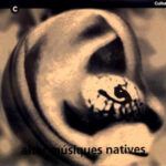 6b0fc9b076b4af74d0e501cf5159a80136eeb75d_0_0.jpeg Alter Músiques Natives