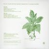 Mother Earth's Plantasia