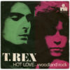 Mi0zODI1LmpwZWc.jpeg Hot Love / Woodland Rock