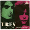 NS03MzQ2LmpwZWc.jpeg Hot Love / Woodland Rock