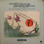 a27516e04497c1513cbd6294457f37705e651548_0_0.jpeg Birds