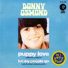 a9716acc48f44cd535bd5184144ee7ecd6eea026_0_0.jpeg Puppy Love = Amor De Juventud
