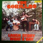 Laugh Story