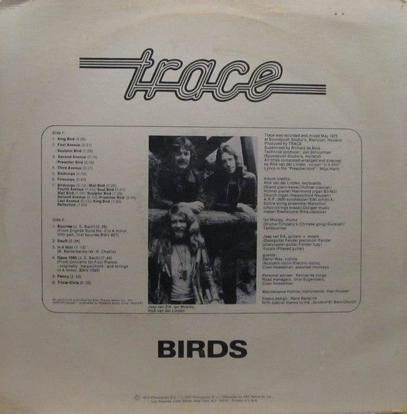 Birds