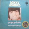 ad718f8594be6a73c1686ca2112636591d3273ab_0_0.jpeg Puppy Love = Amor De Juventud