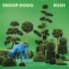 Bush