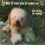 I'd Love You To Want Me / Am I True To Myself