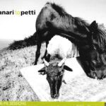 Anari Ta Petti