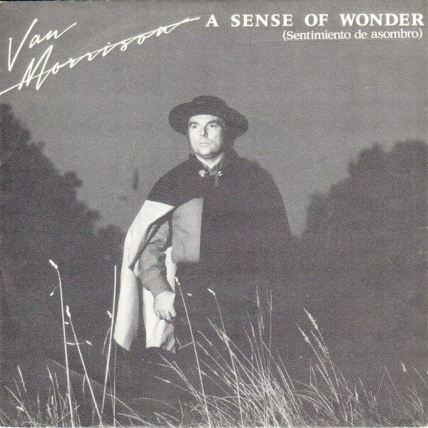 A Sense Of Wonder = Sentimiento De Asombro