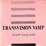I Want Your Love