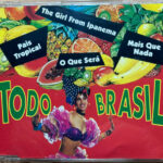 Todo Brasil